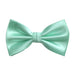 Men's Aqua Green Bow-Tie