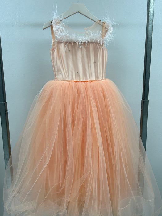 Salmon Long Chiffon Dress with Feather Shoulders