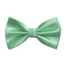 Men's Pastel Green Bow-Tie