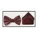 Men's Rhinestone Bow-Tie And Handkerchief Set