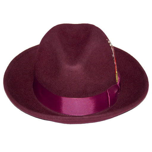 Men's Burgundy Wide Brim Fedora With Feather Plume