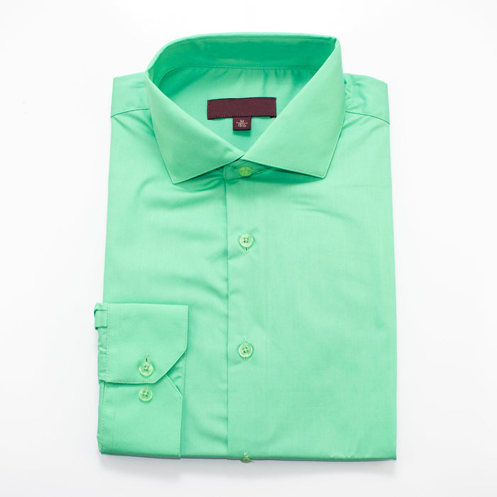 Pistachio Regular-Fit Dress Shirt